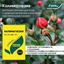 Калимагнезия — источник питания для почв с децифитом магния и растений, чувствительных к хлору Калимагнезия — источник питания для почв с децифитом магния и растений, чувствительных к хлору