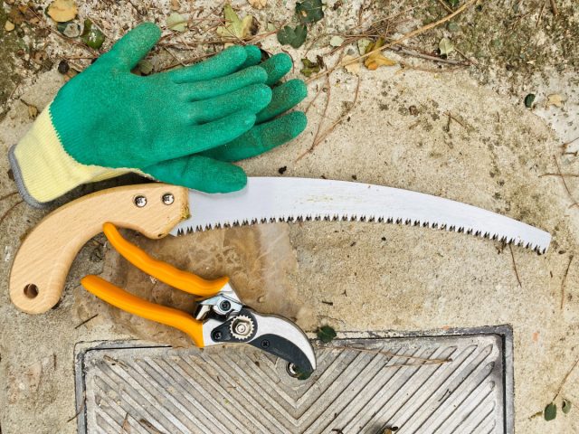 Убедитесь, что у вас есть подходящие инструменты для работы.