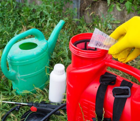 Что делать на даче весной