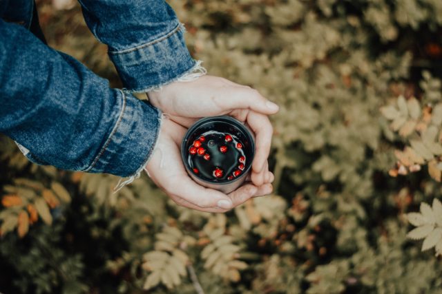 Научно подтверждено, что побеги, плоды и листья красной рябины обладают бактерицидными свойствами. Научно подтверждено, что побеги, плоды и листья красной рябины обладают бактерицидными свойствами.