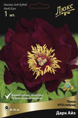ИТО-Пион «Дарк Айз» (Paeonia Itoh ‘Dark Eyes’) ИТО-Пион «Дарк Айз» (Paeonia Itoh ‘Dark Eyes’)