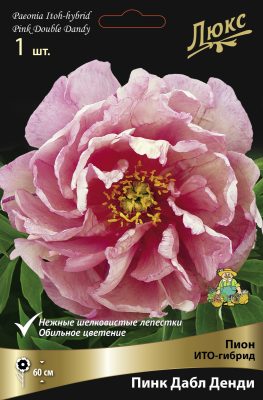 ИТО-Пион «Пинк Дабл Денди» (Paeonia Itoh ‘Pink Double Dandy’) ИТО-Пион «Пинк Дабл Денди» (Paeonia Itoh ‘Pink Double Dandy’)