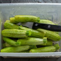 Для засолки удобен глубокий пластиковый контейнер с плотно прилегающей крышкой. Для засолки удобен глубокий пластиковый контейнер с плотно прилегающей крышкой.