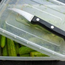 Закрываем контейнер плотно и интенсивно трясем, чтобы соль и специи лучше впитались в овощи. Закрываем контейнер плотно и интенсивно трясем, чтобы соль и специи лучше впитались в овощи.