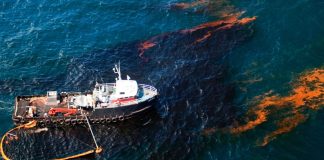 Обнаружены бактерии, способные «поедать» нефть. © Mark Morrison