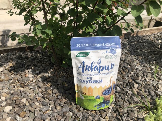 Водорастворимый комплекс «Акварин» для голубики обеспечивает полноценное питание Водорастворимый комплекс «Акварин» для голубики обеспечивает полноценное питание