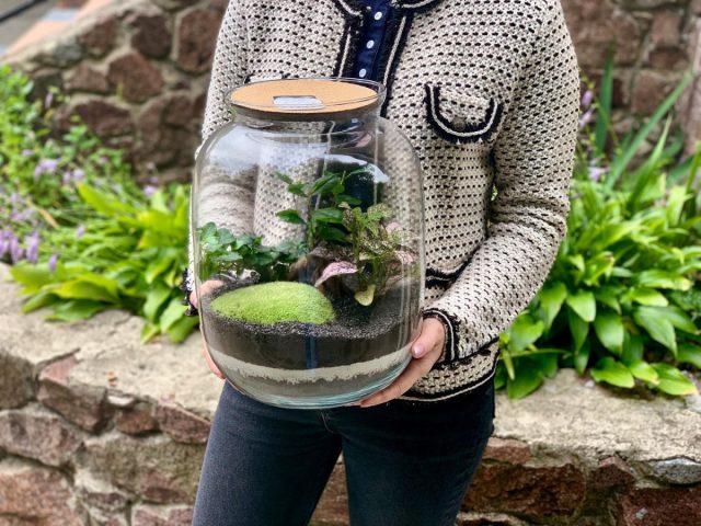 Флорариум в банке