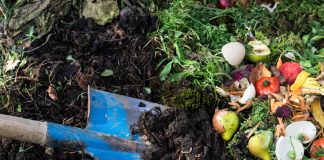 Траншейное компостирование — метод для ленивых огородников