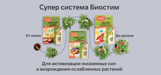 Обработка семян – главный шаг к получению хорошего урожая Обработка семян – главный шаг к получению хорошего урожая