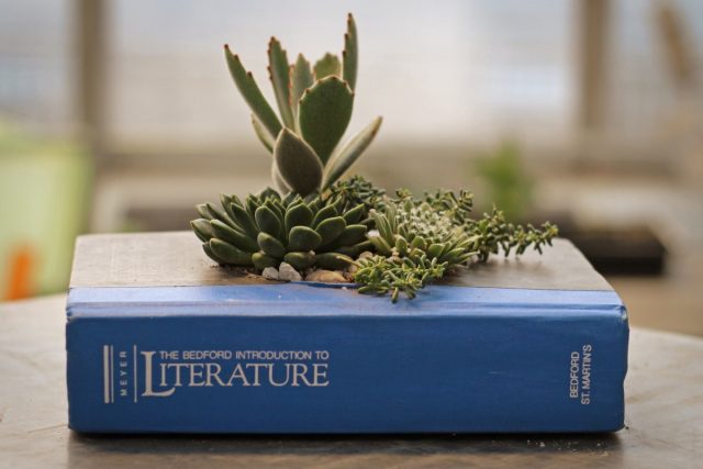 Суккуленты в книге Суккуленты в книге
