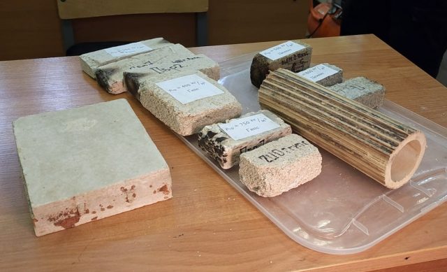 Борщевик в строительстве: новый подход к производству материалов