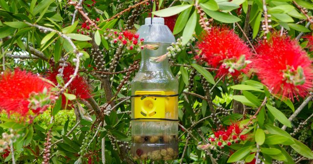 Лакомство в жаркую погоду стоит регулярно обновлять.