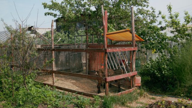 Ограждение может быть сделано из деревянных досок и реек или же из металлической сетки или решётки. Ограждение может быть сделано из деревянных досок и реек или же из металлической сетки или решётки.