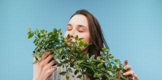 Какие растения очищают воздух в нашем доме? Разбиваем самый популярный миф