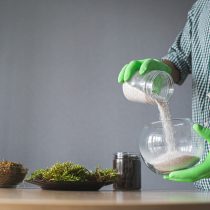 Для флорариума лучше всего подходит стеклянная баночка, аквариумная емкость или террариум Для флорариума лучше всего подходит стеклянная баночка, аквариумная емкость или террариум