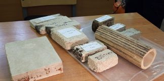 Создана уникальная технология изготовления стройматериалов из борщевика