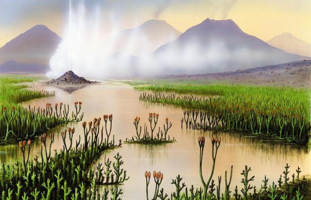 Первые растения вышли из воды на сушу 444 миллиона лет назад