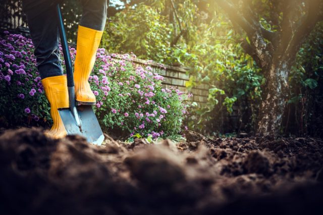 Удобряем с умом: как поддерживать здоровую и плодородную почву Удобряем с умом: как поддерживать здоровую и плодородную почву