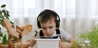 В какие мифы верят даже опытные цветоводы комнатных растений?