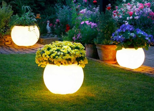 Цветочный свет