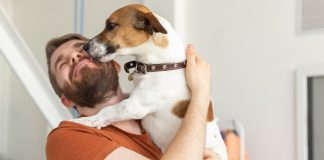 Воспитываем послушную собаку — простой гайд для новичков