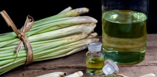 10 причин выращивать лемонграсс независимо от климата