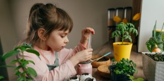 Какой цветок вырастить с ребенком — яркие растения для непосед