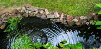 Какой построить пруд: 10 простых идей для садового водоема
