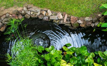 Какой построить пруд: 10 простых идей для садового водоема