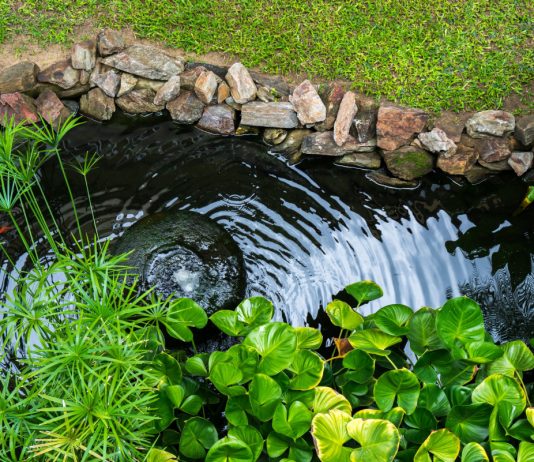 Какой построить пруд: 10 простых идей для садового водоема