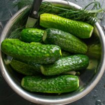 Огурцы замачиваем в холодной родниковой или фильтрованной воде Огурцы замачиваем в холодной родниковой или фильтрованной воде