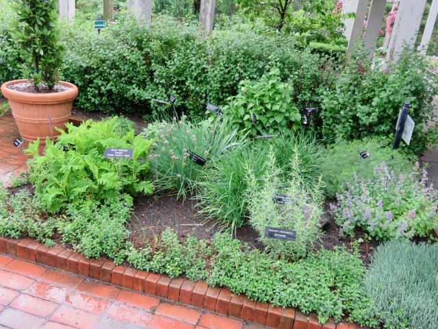 Сад в духе Прованса – это сад запахов трав, прогретых южным солнцем