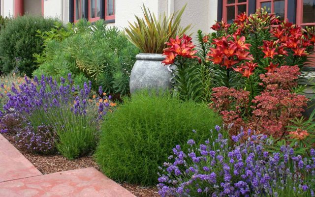 Расположить миксбордер в прованском стиле можно в рокарии на перепаде высот