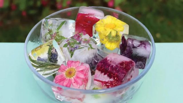 Ледяной кубик с полураскрытым бутончиком мелкоцветковой розы - совершенно эксклюзивная добавка в новогоднее шампанское Ледяной кубик с полураскрытым бутончиком мелкоцветковой розы - совершенно эксклюзивная добавка в новогоднее шампанское