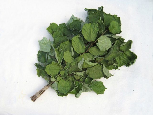 Орешниковый веник Орешниковый веник