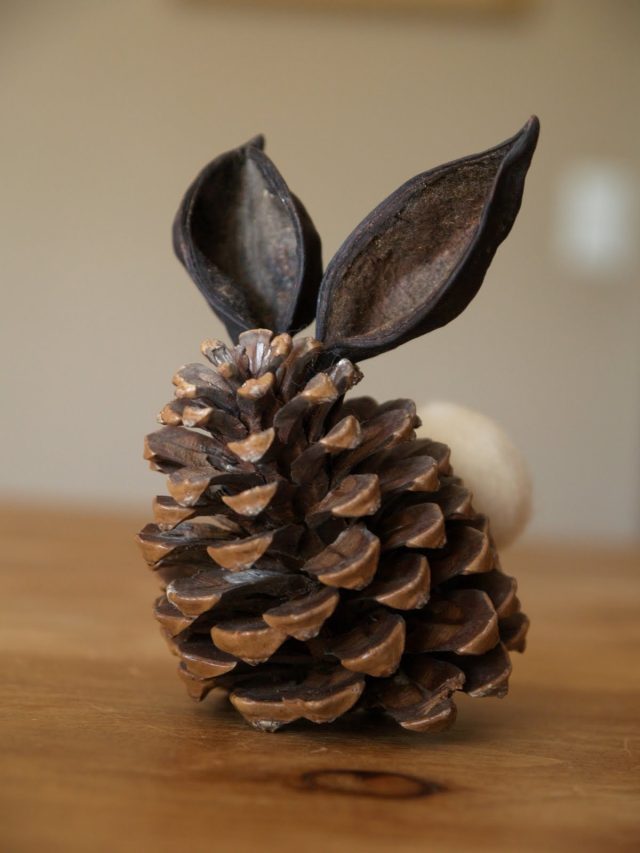 Таинственный зайчик из шишки