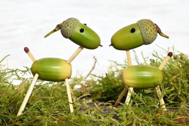 Знакомство двух зверушек из желудей.