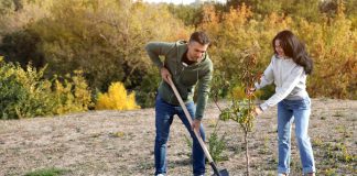 Готовимся к урожаю с осени: какие плодовые и ягодные культуры подходят для осенней посадки