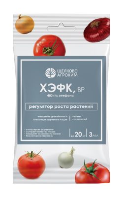 Хэфк, ВР ускоряет созревание лука и томатов без потери вкуса. Теперь в новой упаковке! Хэфк, ВР ускоряет созревание лука и томатов без потери вкуса. Теперь в новой упаковке!