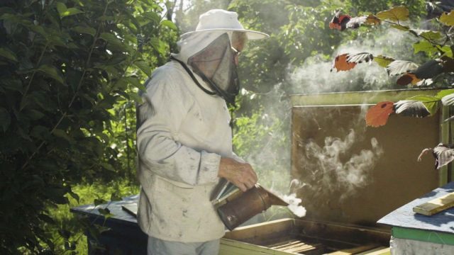 Для борьбы с браулезом используют аптечные препараты и окуривание табачным дымом