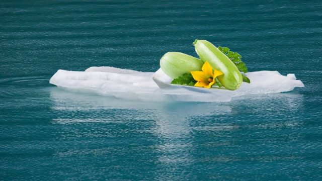 Мемы про кабачки — дачный юмор о любимом овоще
