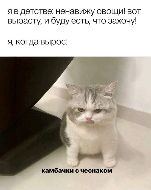 Вкус, который понимается только с возрастом