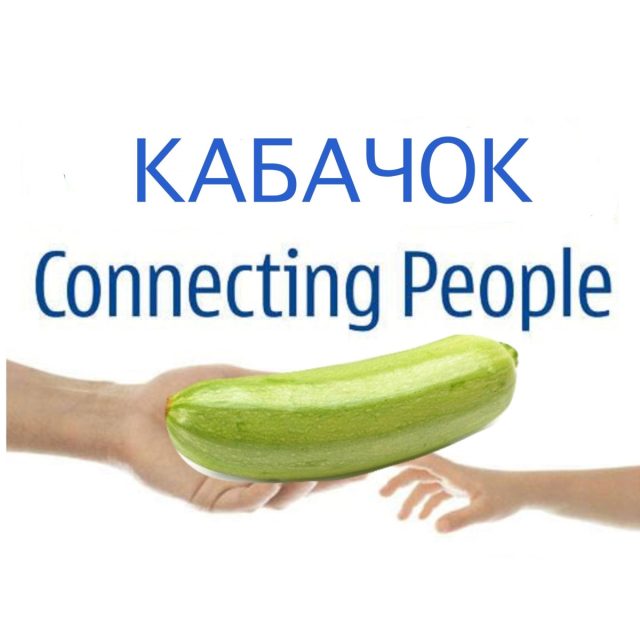 Кабачок соединяет людей