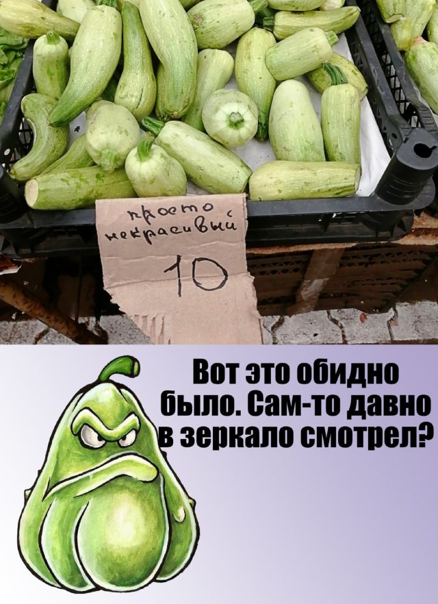 Ну нельзя же так с кабачками! 
