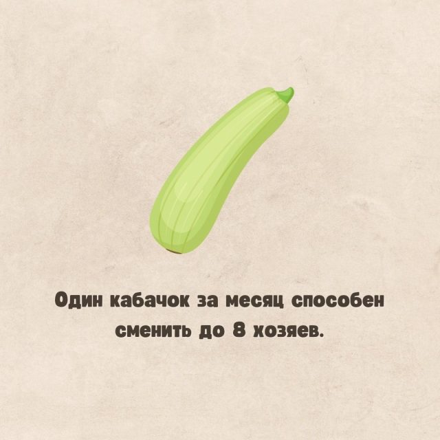 Интересный факт о кабачковой эстафете