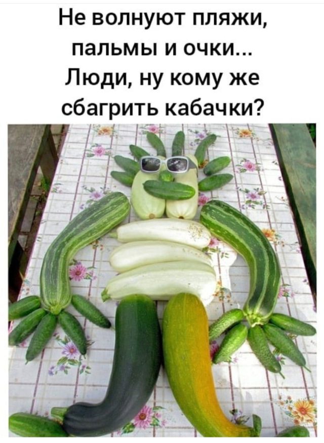 Кабачковое искусство потрясающе