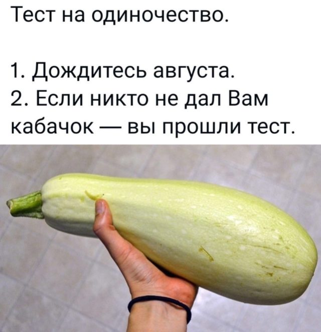 Социологическое исследование: кабачковый тест на одиночество