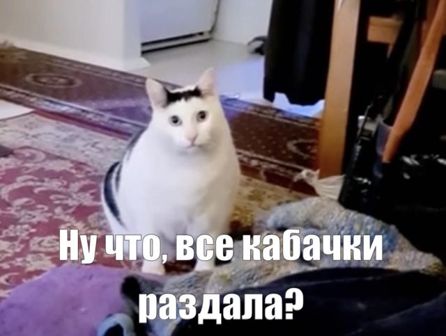 Наташа, просыпайся, мы все раздали!