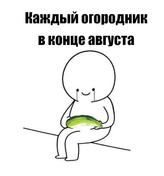 Каждый огородник этим летом