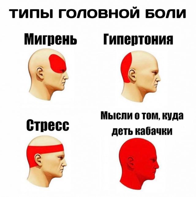 Что значит: «мне не нужен кабачок»?!